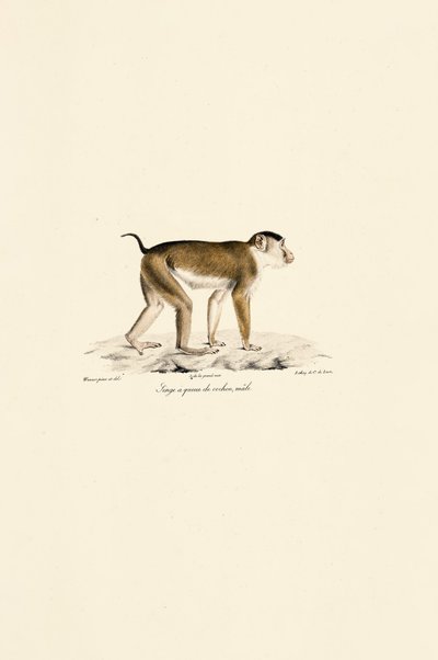  da Jacques Christophe Werner