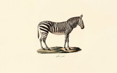  da Jacques Christophe Werner