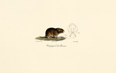  da Jacques Christophe Werner