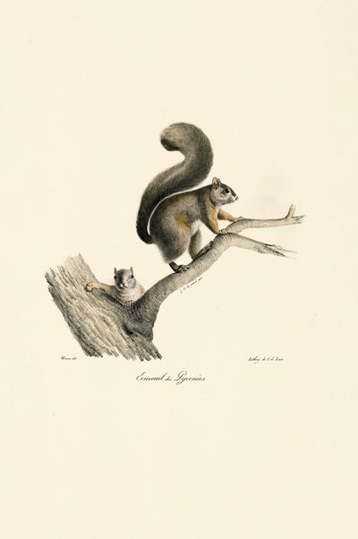  da Jacques Christophe Werner