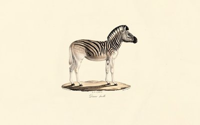  da Jacques Christophe Werner