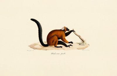  da Jacques Christophe Werner