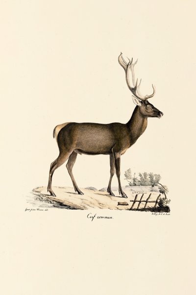  da Jacques Christophe Werner
