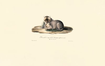  da Jacques Christophe Werner