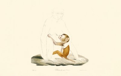 Neonato di macaco rhesus da Jacques Christophe Werner