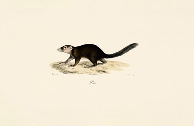  da Jacques Christophe Werner