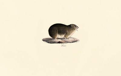  da Jacques Christophe Werner