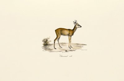  da Jacques Christophe Werner