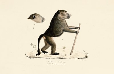  da Jacques Christophe Werner