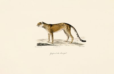  da Jacques Christophe Werner
