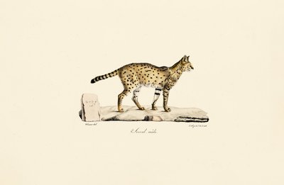  da Jacques Christophe Werner
