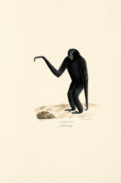  da Jacques Christophe Werner