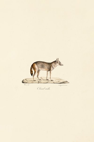  da Jacques Christophe Werner