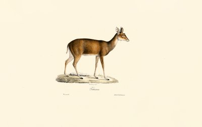  da Jacques Christophe Werner