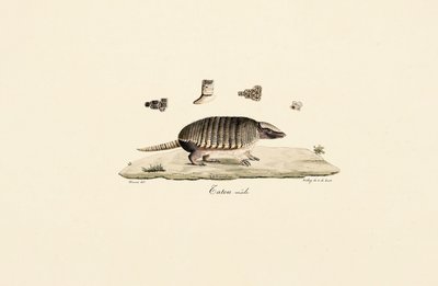  da Jacques Christophe Werner