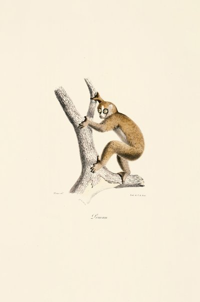 da Jacques Christophe Werner