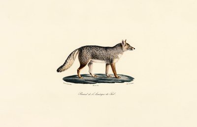  da Jacques Christophe Werner