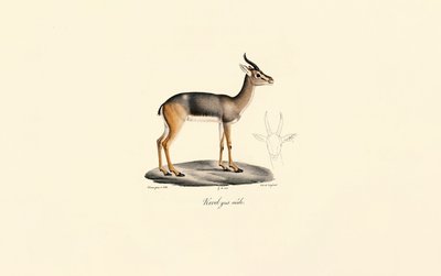  da Jacques Christophe Werner