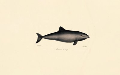  da Jacques Christophe Werner