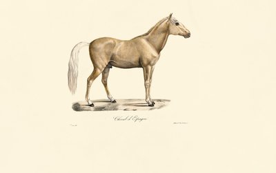  da Jacques Christophe Werner