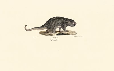  da Jacques Christophe Werner