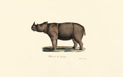  da Jacques Christophe Werner