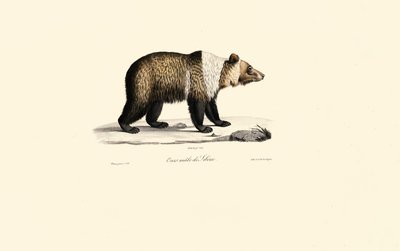  da Jacques Christophe Werner