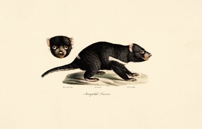  da Jacques Christophe Werner