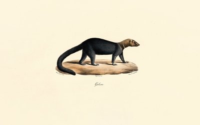  da Jacques Christophe Werner
