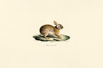  da Jacques Christophe Werner