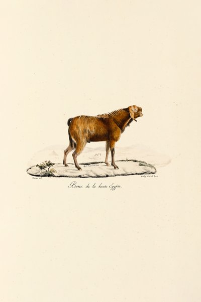  da Jacques Christophe Werner