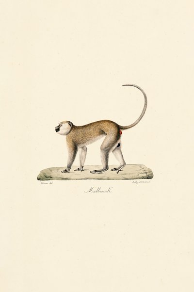  da Jacques Christophe Werner