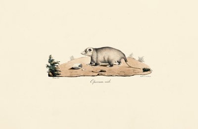  da Jacques Christophe Werner