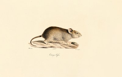  da Jacques Christophe Werner