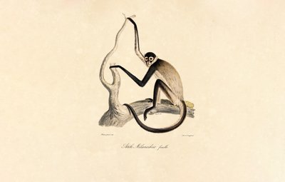  da Jacques Christophe Werner