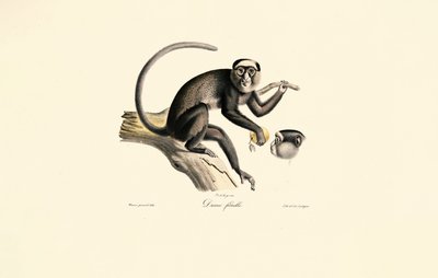  da Jacques Christophe Werner