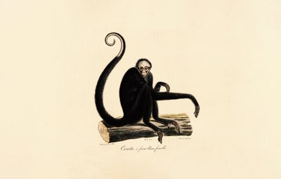  da Jacques Christophe Werner