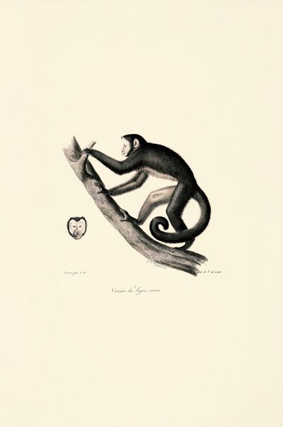  da Jacques Christophe Werner