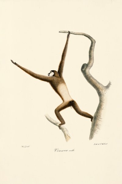  da Jacques Christophe Werner