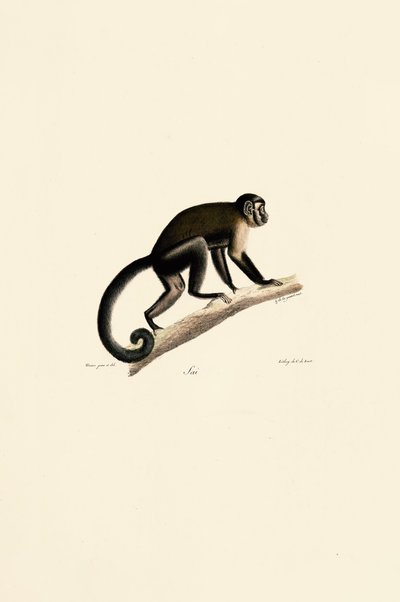 da Jacques Christophe Werner