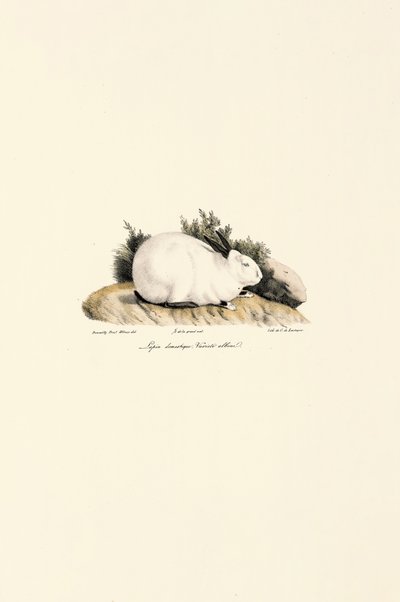  da Jacques Christophe Werner