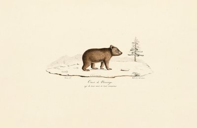  da Jacques Christophe Werner