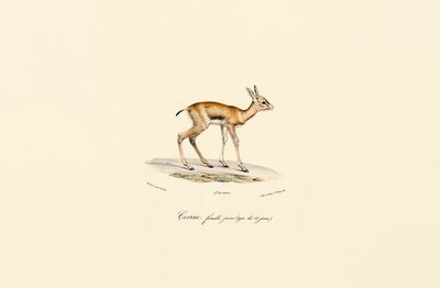  da Jacques Christophe Werner