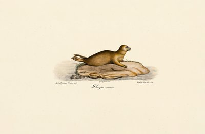  da Jacques Christophe Werner