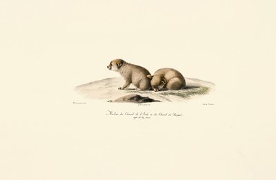  da Jacques Christophe Werner