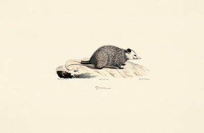  da Jacques Christophe Werner