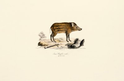  da Jacques Christophe Werner