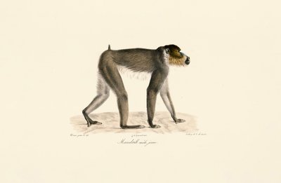  da Jacques Christophe Werner