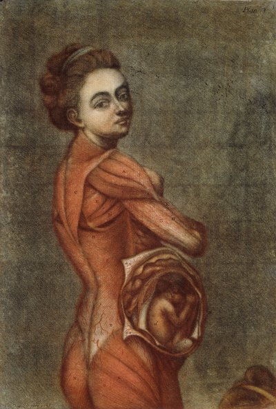 Illustrazione anatomica a colori di una donna incinta, 1778 da Jacques Fabien Gautier dAgoty