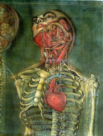 Gola e cuore, tavola da 